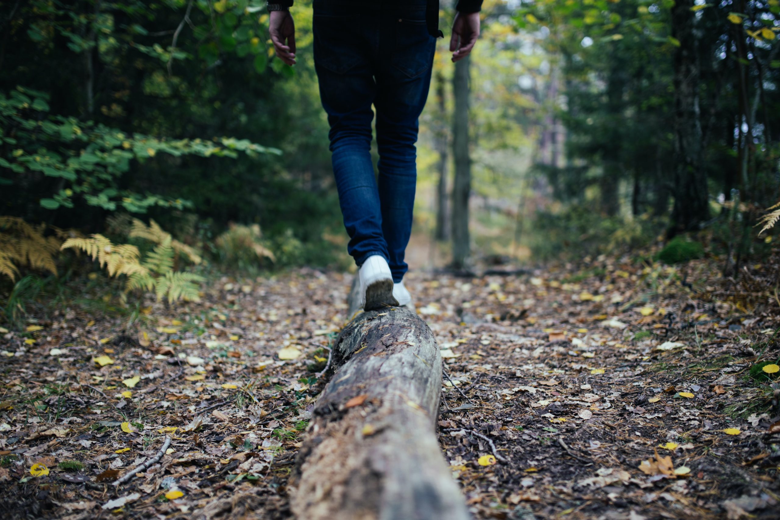 A person walking on a thin log in a bright forest, indicating balance and the ability to cope with life